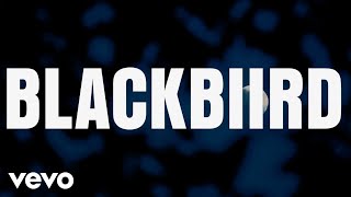 BLACKBIIRD Official Lyric Video [upl. by Eserahc]