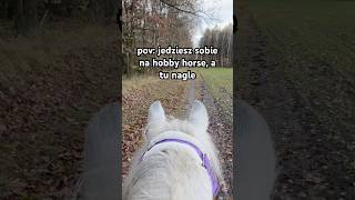 JEŹDZISZ NA HOBBY HORSE koniki koniara hobbyhorse starstable konie koń [upl. by Jesus857]