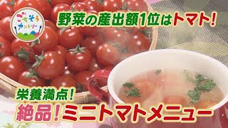 ごちそうカントリー ～生でよし！調理してよし！どんな料理にも相性抜群！「ミニトマト」の話題～ [upl. by Killen]