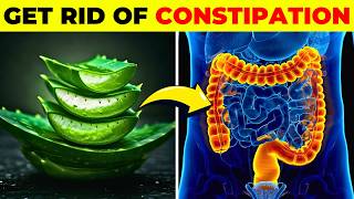 10 EFFECTIVE Ways to FIX Constipation FAST [upl. by Fawne]