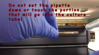 How to Read and Aseptically Handle a Sterile 1 ml Pipette [upl. by Eeuqram]