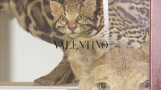 VALENTINO PANTHER COLLECTION  THE WILDE SIDE [upl. by Schnur]