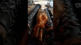 HighPerformance Debarking Solutions for Wood Processing shorts crafts viralshorts [upl. by Granger]