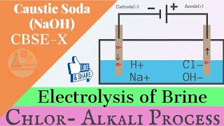 ChlorAlkali Process  Preparation of Sodium Hydroxide Chapter 2 Class10 AcidsBases and Salts [upl. by Rebna]