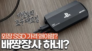 타이쿤 장사할 생각 없는 버팔로의 PS5 대응 SSD 240329 [upl. by Carlstrom]