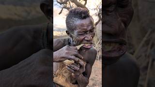 Hadzabe tribe Oldman eating Meal😋So delicious 🤤 Today bushmen culture [upl. by Wernda]