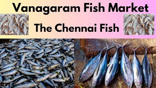 Vanagaram Fish Market🐟🐟🐟 [upl. by Mutat]