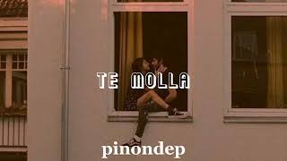 Te molla  ARNON ft Killua sped up [upl. by Elyk]