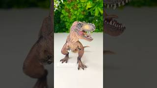 Evolution of Dinosaur Fossils Reupload [upl. by Sessler]