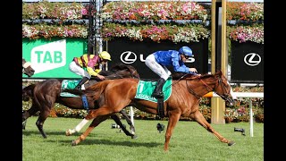 Flemington  2024 Australian Cup Day Tips CRACKING DAY OF RACING AHEAD 30324 [upl. by Oreste]