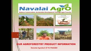 Importance of Agroforestry Multicropping Pattern basic Information by Navalai Agrotech9619468384 [upl. by Temhem]