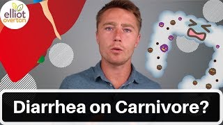 Chronic Diarrhea On Carnivore Diet Excess Bile FXR amp Inflammation [upl. by Gunthar]