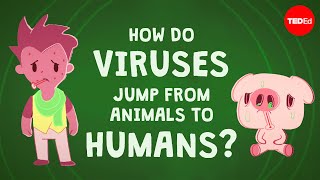 How do viruses jump from animals to humans  Ben Longdon [upl. by Blakeley]