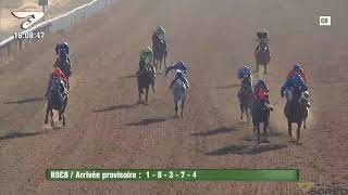 Live Hippodrome « CASABLANCA »  Courses du « 12112021 » [upl. by Acirre]