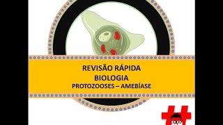 Revisão rápida  protozooses amebíase [upl. by Shargel]