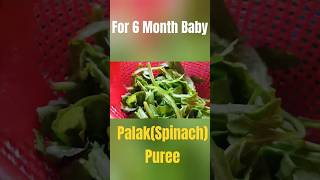 PalakSpinach Puree for 6 to 12 months baby shorts youtubeshorts vegetablepureeforbaby babyfood [upl. by Nylikcaj]