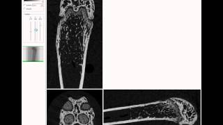 BrukermicroCT tutorial How to reorient a dataset in 3d with SkyScan Dataviewer [upl. by Ardnaxila565]