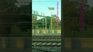 Steamrails ReturnMorwell Rose Festival steam victoria shorts shortvideo train travel views [upl. by Ytnom464]