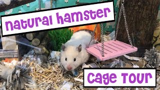 Natural Hamster Cage Tour  IKEA Detolf Woodland Theme [upl. by Derward402]