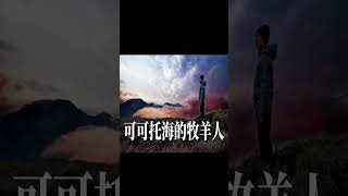 🎼  可可托海的牧羊人  🎼 演唱  王琪 [upl. by Ahsenwahs]