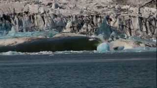 Ice lagoon  Zodiac boat tours  icelagooncom [upl. by Ashleigh]