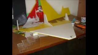 Home made RC Delta Plane [upl. by Nalrah]