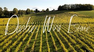 Denbies Wine Estate Flying Through The Vineyard By Drone [upl. by Nuahsed]