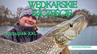 wędkarskie szczęście szczupak XXL szczupak szczęście spinning [upl. by Nylra459]