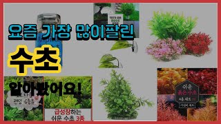 수초 추천 판매순위 Top10  가격 평점 후기 비교 [upl. by Atinav110]