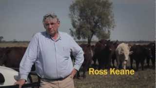 Ross Keane TV Commercial for Shorthorn Cattle [upl. by Rosalie]