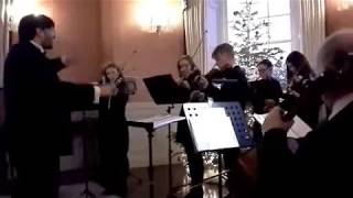 Donegal Chamber Orchestra at Rockhill House [upl. by Nitsraek79]