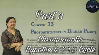 photosynthesis in higher plants  Part 3  Class 11 Biology  NCERT NEET [upl. by Yentruok]