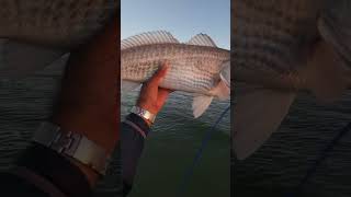 Epic fishing trip results in a scare fishing bassfishing outdoors kayakbassfishing muskylures [upl. by Cis]