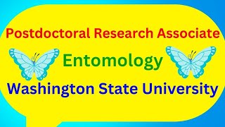 Postdoctoral Research Associate Entomology Washington State University [upl. by Dolly224]