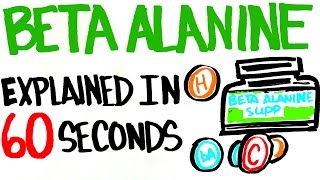 Beta Alanine Explained in 60 Seconds  Better Than Your Typical Supplement [upl. by Analle]