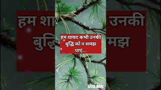 Divine Message for You l Spiritual Motivation by Mudita shorts viralshorts trending [upl. by Ahseikan396]