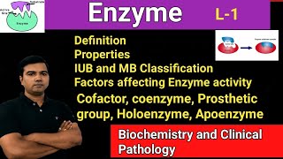 Enzymes L1 [upl. by Oicinoid]