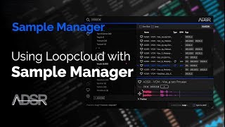 Using Loopcloud with ADSR Sample Manager   FREE plugin Download [upl. by Olds]