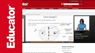 Spindle Apparatus Parts [upl. by Lemor]