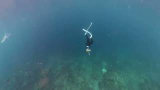 Mike Freediving Mabini Batangas Insta360 X3 Molchanovs Coach Rog [upl. by Eednus213]