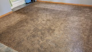 Dark Traffic Worn Out Carpet Cleaning [upl. by Thurman]