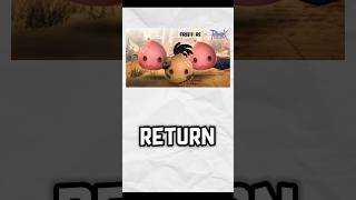 WHY DONT RETURN OF PORING PET [upl. by Noella]