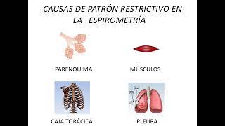 LABORATORIO PATRONES RESTRICTIVOS 2 [upl. by Mudenihc819]