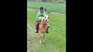 Trektocht te paard 2024 [upl. by Filomena715]