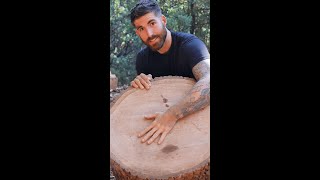 Lets look inside the wet piece of wood 👀 wood firewood woodsplitting [upl. by Nevil323]