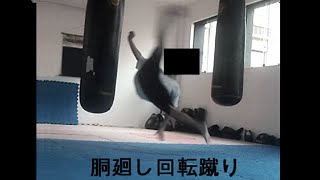 The Power of Do Mawashi Kaiten Geri Kyokushin Wheel Kick  胴廻し回転蹴り [upl. by Eentihw184]