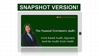 Audit Snapshot Risk Based Audit and the Audit Risk Model [upl. by Ydisac]