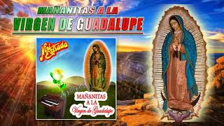 Mañanitas a la Virgen de Guadalupe  Nini Estrada DISCO COMPLETO [upl. by Karia989]