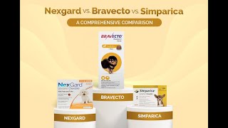 Nexgard vs Bravecto vs Simparica A Comprehensive Comparison [upl. by Mosley]