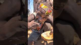 This is incredible delicious soup cooked by Hadza Bushmen naturally 😋😲hadzabetribe villagelife [upl. by Spancake441]